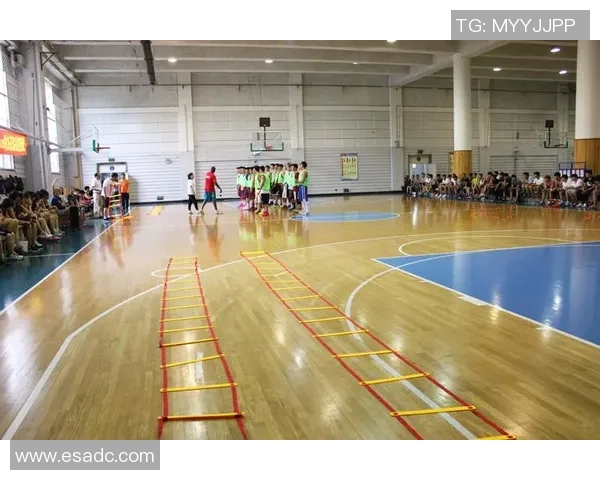 张庆鹏：从篮球场的拼搏到人生的智慧启示