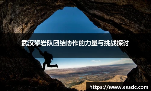 678体育