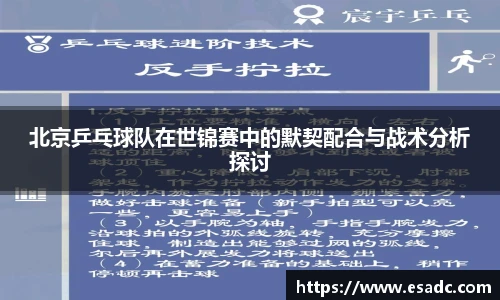 678体育