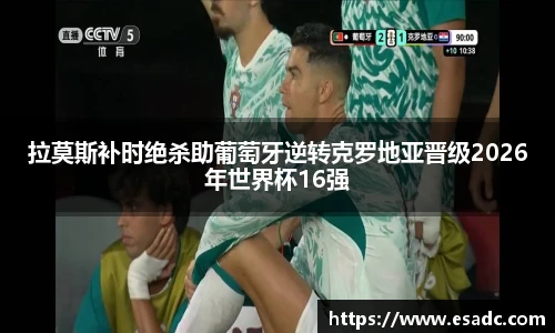 678体育